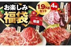 【夏の肉福袋】4種 1.9kg 焼肉セット（牛肉 切り落とし／牛ハラミ／豚肉 スペアリブ／鶏肉）【氷温熟成×極味付け 焼くだけ 食べ比べ ふくぶくろ お楽しみ 簡単調理】