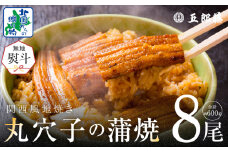 【無地熨斗】老舗五郎藤の味付け 丸穴子 2尾×4パック 計8尾（8人前）小分けパック 計600g前後 ペルー産 マルアナゴ まるあなご