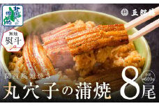 【無地熨斗】老舗五郎藤の味付け 丸穴子 2尾×4パック 計8尾（8人前）小分けパック 計600g前後 ペルー産 マルアナゴ まるあなご