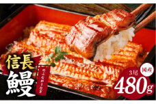 【数量限定】国産 信長鰻 160g×3尾【大サイズ 合計480g 蒲焼き 無頭 うなぎ 鰻 ウナギ ひつまぶし タレ 冷凍】