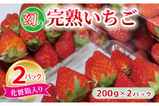 【特別規格】朝摘み完熟いちご 2パック【化粧箱入り 200g×2P 苺 イチゴ フルーツ 果物】