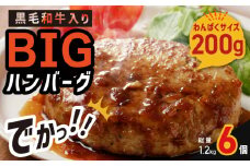 黒毛和牛入り BIGハンバーグ 200g×6個