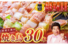 桜文 焼き鳥 6種30本セット やきとりのタレ付き 個包装