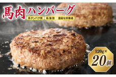 桜文 馬肉ハンバーグ 総量2.4kg（120g×20個） 個包装