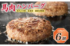 【特別規格】桜文 馬肉ハンバーグ 総量720g（120g×6個） 個包装 お試し