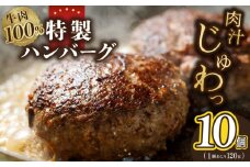 牛肉100％ 特製ハンバーグ 120g×10個 個包装