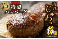 【特別規格】牛肉100％ 特製ハンバーグ 120g×6個 個包装 お試し