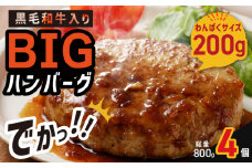 【特別規格】黒毛和牛入り BIGハンバーグ 200g×4個 お試し