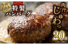 牛肉100％ 特製ハンバーグ 120g×20個 個包装