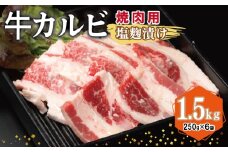 牛カルビ 焼肉用 塩麹漬け 合計1.5kg【味付け 小分け 焼くだけ 簡単調理 BBQ 牛肉 250g×6袋】