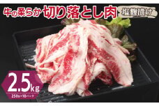 牛肉 切り落とし 塩麹漬け 合計2.5kg【味付け 小分け 焼くだけ 簡単調理 BBQ 牛肉 250g×10袋】