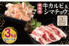 牛カルビ＆シマチョウ 塩麹漬け 焼肉セット 合計3kg【味付け 小分け 焼くだけ 簡単調理 BBQ 250g×12袋 牛肉 ホルモン】