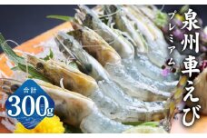 【生食可】泉州車えび 300g【先行予約】