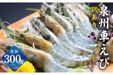 【生食可】泉州車えび 300g【訳あり サイズ不揃い 先行予約 エビ 海老 国産 魚介類 海鮮丼 冷凍】