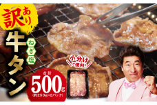 ねぎ塩 牛たん お試し 500g【小分け 250g×2 成型 牛タン 牛肉 焼肉用 薄切り 訳あり サイズ不揃い】