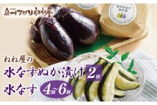 ねね屋の水なす 4～6個／水なすぬか漬け2個セット
