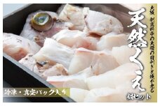大阪 割烹料亭の天然くえ 鍋セット（2人前）