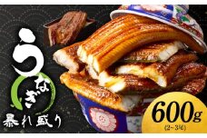 うなぎ 蒲焼き 暴れ盛り 合計 600g【鰻 真空パック 簡単調理 訳あり サイズ不揃い 人気 惣菜 うな重 うな丼 ひつまぶし にも】