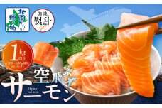 【無地熨斗】アトランティックサーモン 総量 1kg以上【フィレ エコパック 500g以上×2P 訳あり サイズ不揃い 刺身 さーもん 冷凍 北国からの贈り物】