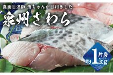 泉州さわら 片身 約1kg