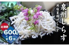 【定期便】泉州しらす （減塩釜揚げ）600g ×全6回 真面目漁師 濱ちゃんのこだわり
