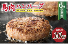 【定期便】 桜文 馬肉ハンバーグ 120ｇ×10個 全6回 【毎月配送コース】