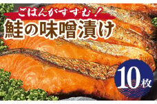 ごはんがすすむ！鮭の味噌漬け 800g（80g×10枚）