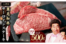 【A4ランク】黒毛和牛 サーロインステーキ 500g 化粧箱入り【氷温熟成×極味付け 250g×2 牛肉 ギフト プレゼント 贈り物】