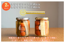 【いずみピクルス】 水なすピクルス和風mix、洋風mix食べ比べ2本セット いずみピクルス NSW