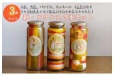 彩（いろどり）シリーズ ピクルス 3本セット いずみピクルス NSW