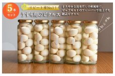 【いずみピクルス】 リピート率No.１！ うずら卵のピクルス 5本セット いずみピクルス NSW