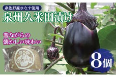 泉州特産 水なす ぬか漬け 8個【泉州久米田漬け 水茄子 なす 旬 野菜 おつまみ 訳あり サイズ不揃い】
