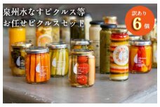 【訳あり】泉州水なすピクルス等おまかせ 6本セット いずみピクルス NSW