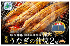 【贈答用】五郎藤 関西風地焼き 国産有頭旨鰻 250g×2尾 計約500g 特大 うなぎ ウナギ 蒲焼き 炭火