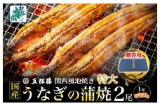 【贈答用】五郎藤 関西風地焼き 国産有頭旨鰻 250g×2尾 計約500g 特大 うなぎ ウナギ 蒲焼き 炭火