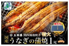 【贈答用】五郎藤 関西風地焼き 国産有頭旨鰻 250g×1尾 計約250g 特大 うなぎ ウナギ 蒲焼き 炭火