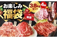 【夏の肉福袋】4種 3.8kg 焼肉セット（牛肉 切り落とし／牛ハラミ／豚肉 スペアリブ／鶏肉）【氷温熟成×極味付け 焼くだけ 食べ比べ ふくぶくろ お楽しみ 簡単調理】