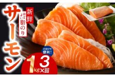 サーモン 定期便 1kg×全3回【ポーション 訳あり サイズ不揃い 刺身 海鮮丼 さーもん サラダ カルパッチョ 鮭 さけ シャケ しゃけ 人気 小分け 冷凍 家計応援】