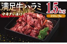 【満足牛ハラミ】中辛タレ漬け 合計1.5kg 【味付け ハラミ 小分け 焼くだけ 簡単調理 BBQ 牛肉 250g×6P】