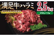 【満足牛ハラミ】オリジナルスパイス仕込み 合計2.5kg 【味付け ハラミ 小分け 焼くだけ 簡単調理 BBQ 牛肉 250g×10P】