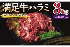 【満足牛ハラミ】オリジナルスパイス仕込み 合計3kg 【味付け ハラミ 小分け 焼くだけ 簡単調理 BBQ 牛肉 250g×12P】