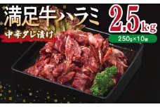 【満足牛ハラミ】中辛タレ漬け 合計2.5kg 【味付け ハラミ 小分け 焼くだけ 簡単調理 BBQ 牛肉 250g×10P】