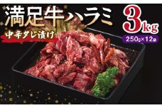 【満足牛ハラミ】中辛タレ漬け 合計3kg 【味付け ハラミ 小分け 焼くだけ 簡単調理 BBQ 牛肉 250g×12P】