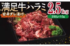 【満足牛ハラミ】甘辛タレ漬け 合計2.5kg 【味付け ハラミ 小分け 焼くだけ 簡単調理 BBQ 牛肉 250g×10P】