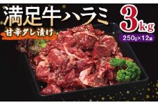 【満足牛ハラミ】甘辛タレ漬け 合計3kg 【味付け ハラミ 小分け 焼くだけ 簡単調理 BBQ 牛肉 250g×12P】