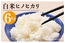 【先行予約】射手矢さんちのヒノヒカリ 白米 6kg