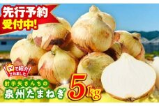 【先行予約】射手矢さんちの泉州たまねぎ 5kg【玉ねぎ タマネギ 玉葱 甘い 野菜 国産 期間限定 オニオン スライス サラダ カレー シチュー バーベキュー BBQ 肉じゃが TVで紹介！】