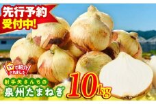 【先行予約】射手矢さんちの泉州たまねぎ 10kg【玉ねぎ タマネギ 玉葱 甘い 野菜 国産 期間限定 オニオン スライス サラダ カレー シチュー バーベキュー BBQ 肉じゃが TVで紹介！】