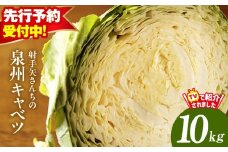 【先行予約】射手矢さんちの泉州キャベツ 10kg【新鮮 野菜 泉佐野産 やさい 射手矢農園 高評価 数量限定 TVで紹介！】