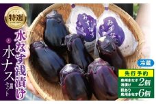 【先行予約】特選 無添加 水なす漬け 徳用水ナス セット【食べ比べ 新鮮 野菜 泉佐野産 茄子 やさい TONOファーム 高評価 数量限定】